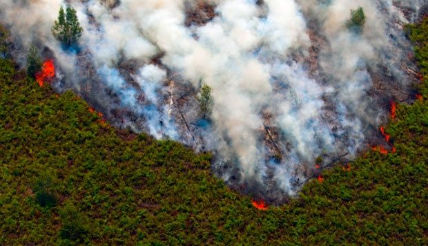 Šumski požar Indonezija