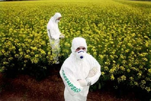 Pro-GMO istražitelji pokušavaju upotrijebiti anti-ruski osjećaj za napad na ruske medije