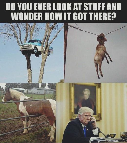 Klikni za povećanje How it got there