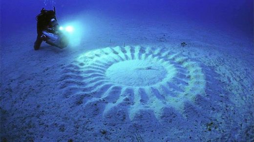 Klikni za povećanje Puffer fish art