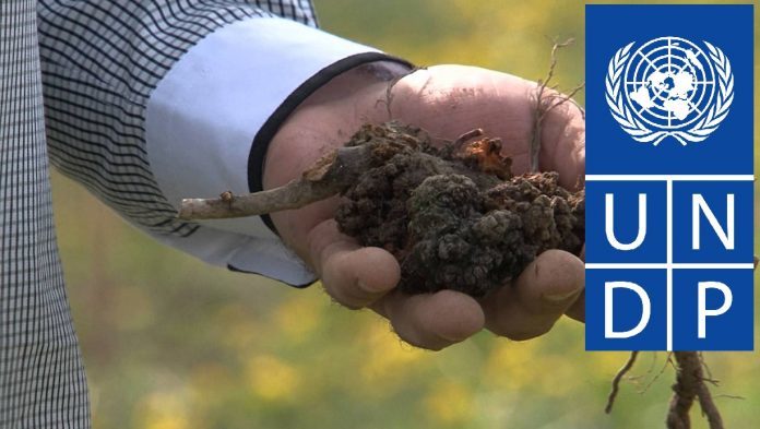 BiH: Kako je UN poljoprivrednicima podvalio “bakterijskim rakom” zaražene maline?