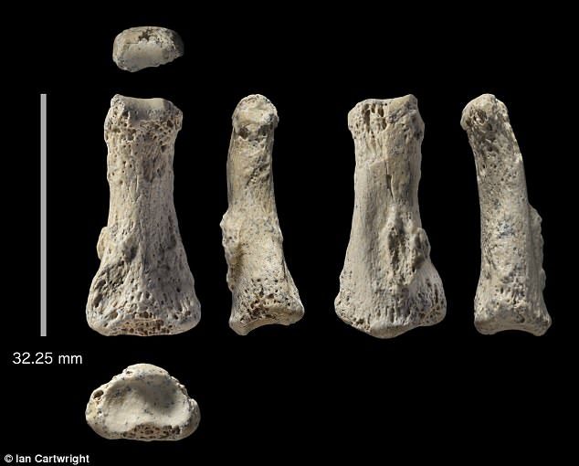 85.000 godina star ljudski fosil pronađen u pustinji Saudijske Arabije