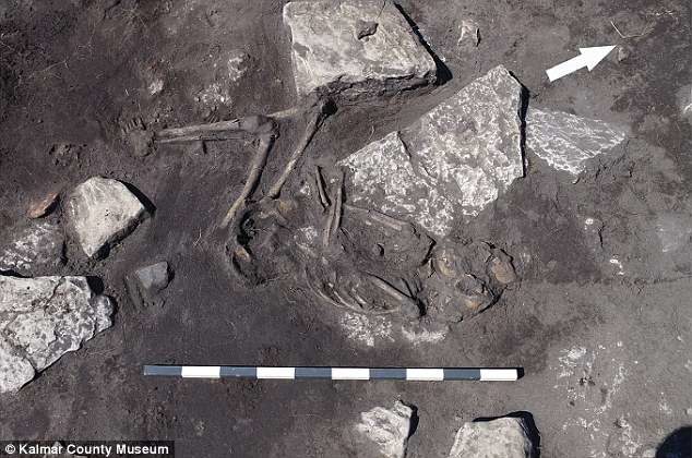 Muškarci, žene i djeca, još uvijek noseći svoje krzno i ​​rimski nakit, pronađeni u Švedskoj nakon što su ih barbari brutalno masakrirali prije 1500 godina