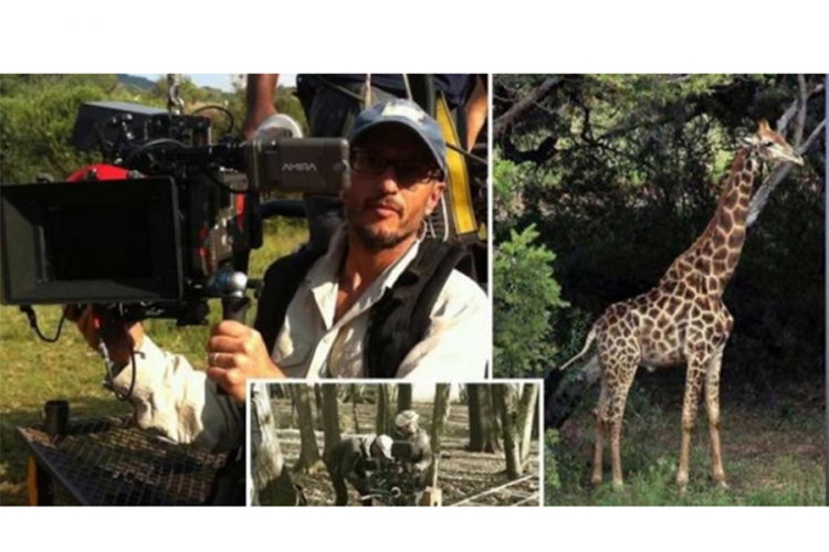 Žirafa ubila režisera tokom snimanja emisije u rezervatu diviljih životinja u Južnoj Africi