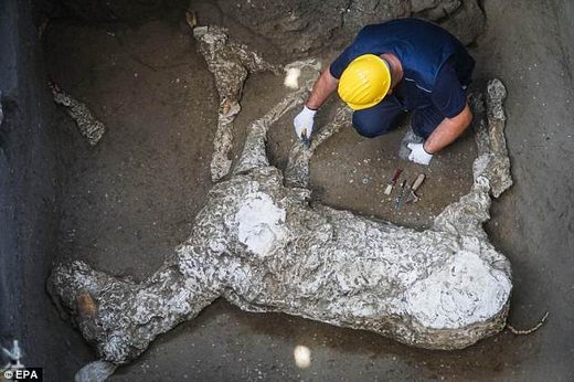Arheolozi pronašli kompletne ostatke rimskog konja u Pompejima