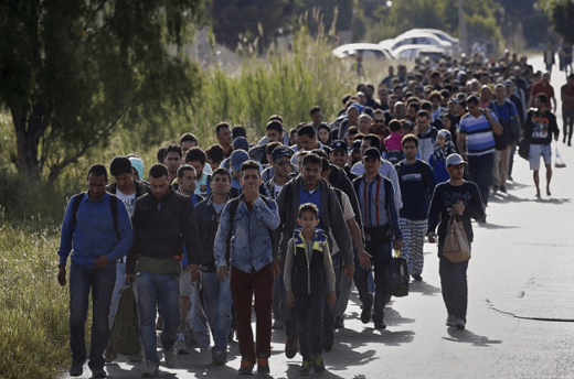 Migrantska kriza u BiH i dio aktivnosti mreže nevladinih udruga u EU