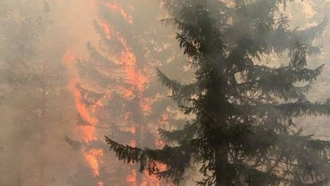 Požari uništavaju 1000 hektara u Letoniji