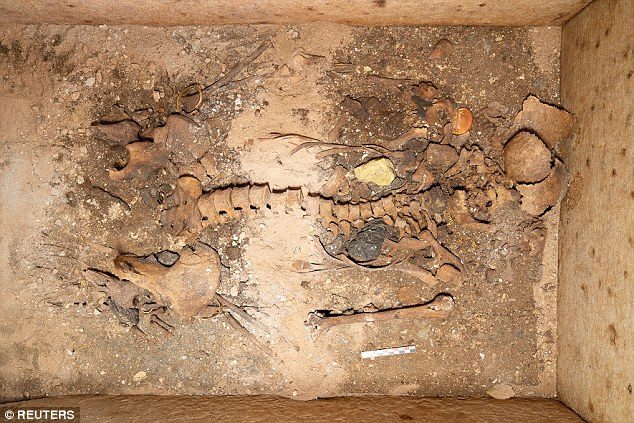 Otkrivena gotovo netaknuta grobnica drevne plemkinje na otoku Sikinos, Grčka