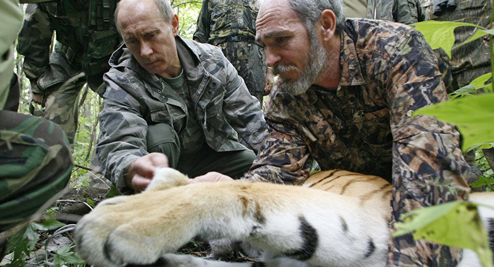 Putin i tigrovi