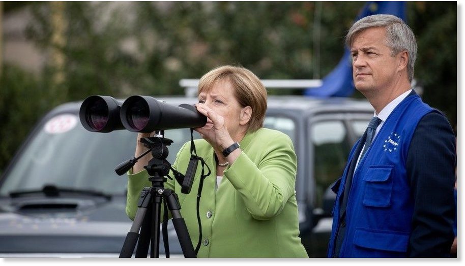 Merkel