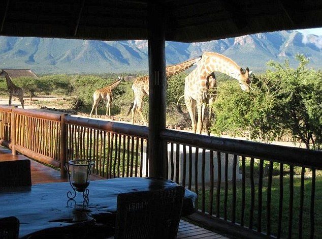 Majka i sin bore se za život nakon još jednog napada žirafe u Južnoj Africi
