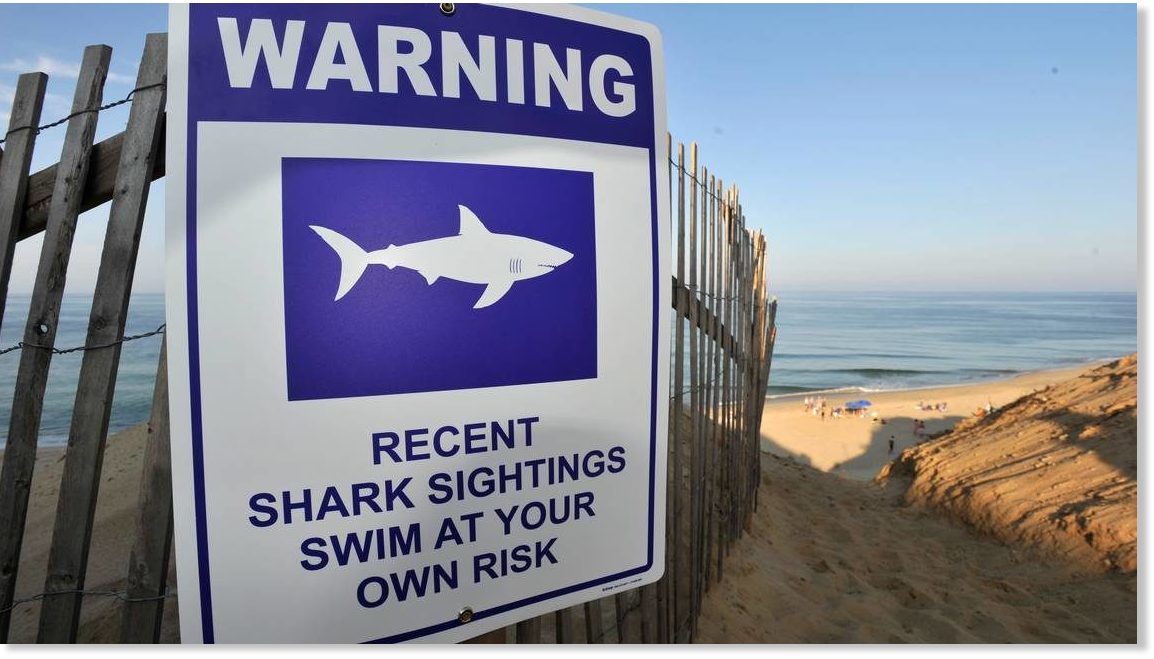 Upozorenje morski pas