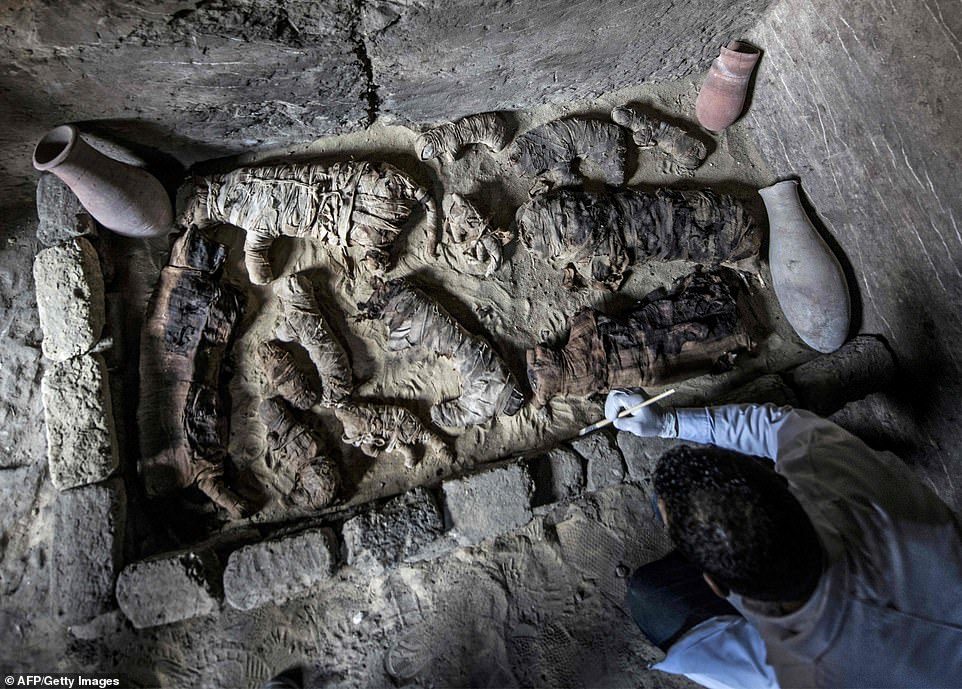 Arheolozi pronašli gomilu mumificiranih mačaka i skarabeja blizu Kaira