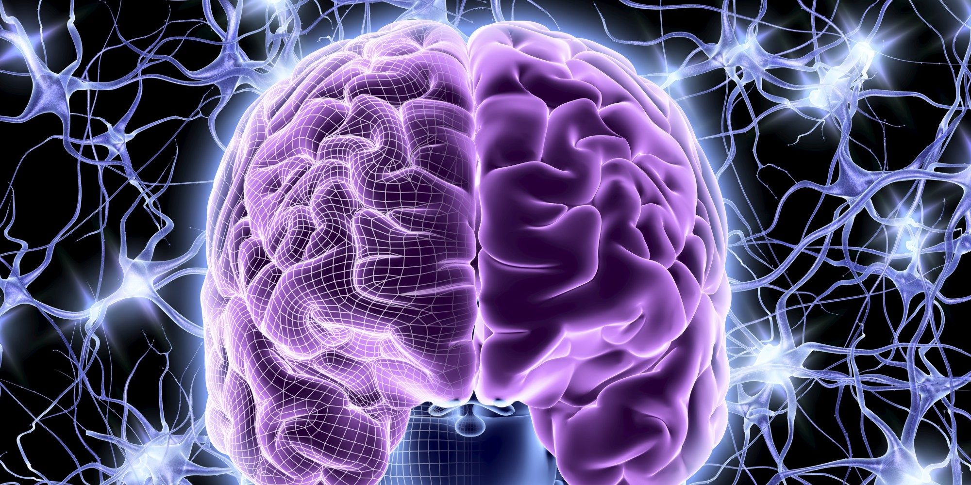 mozak i neurooptimal