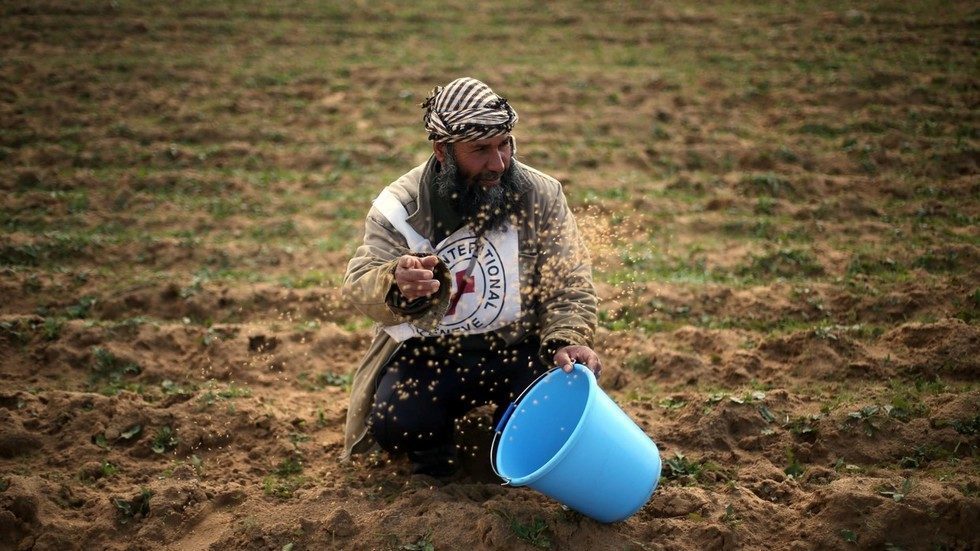 palestinac