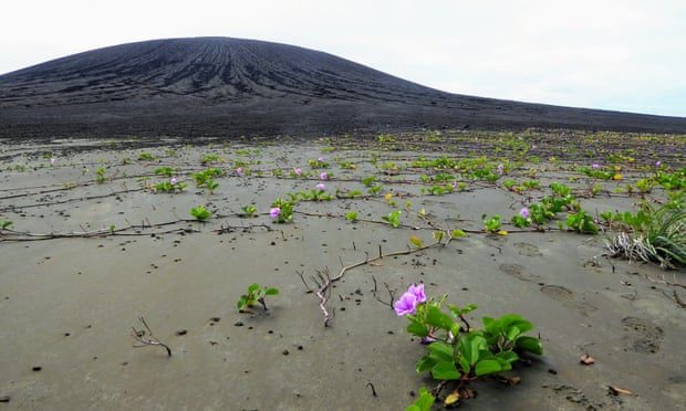 NASA-ini znanstvenici zbunjeni neobičnim blatom na novom vulkanskom otoku