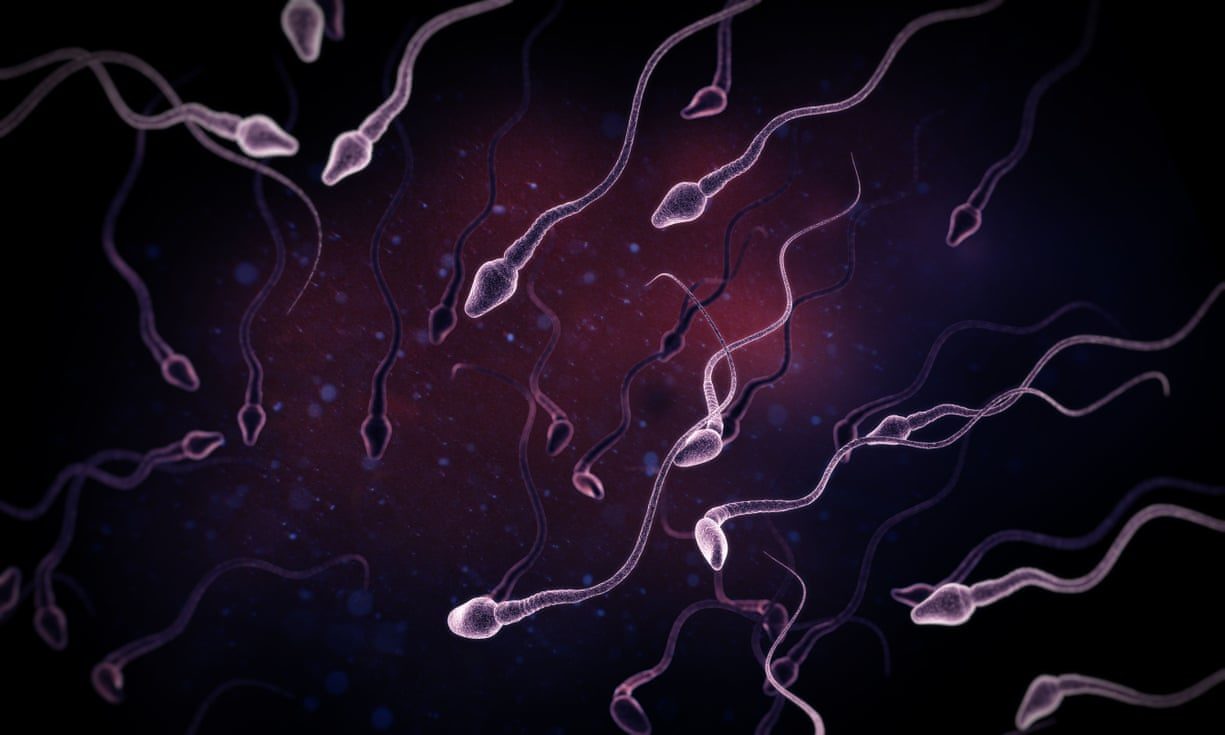 spermi