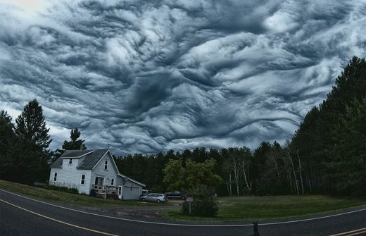 Undulatus asperatus