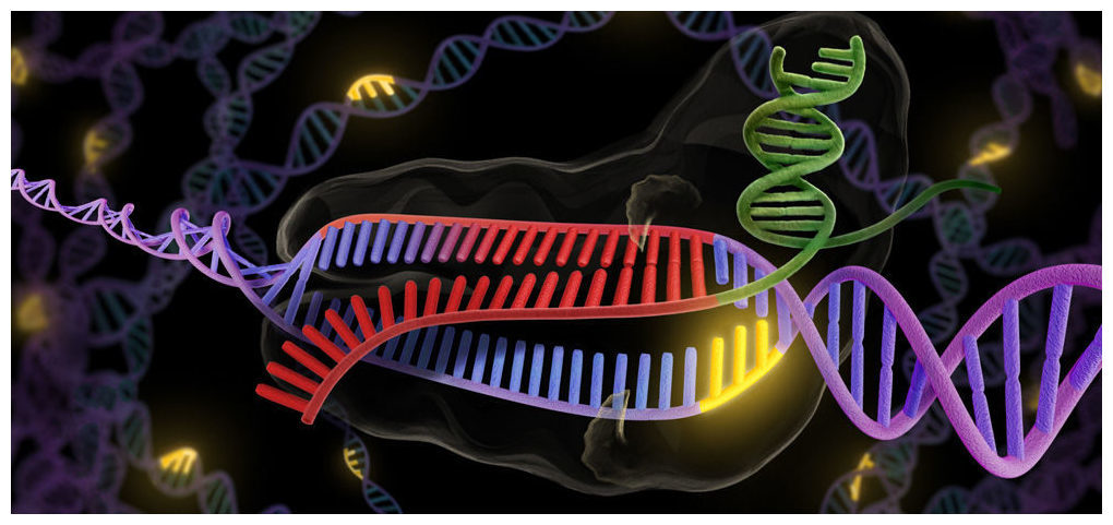 CRISPR - novi revolucionarni alat za rezanje i spajanje DNK.