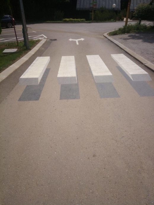 Floating Zebra