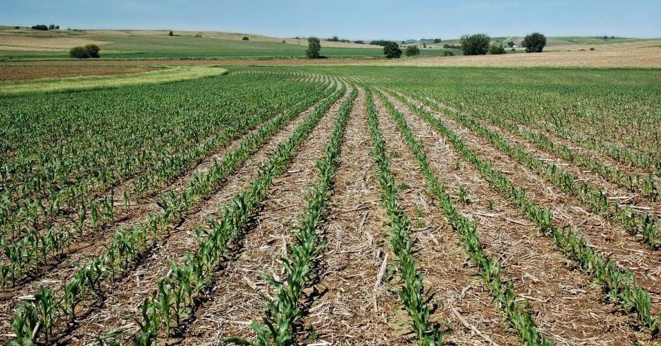 agriculture