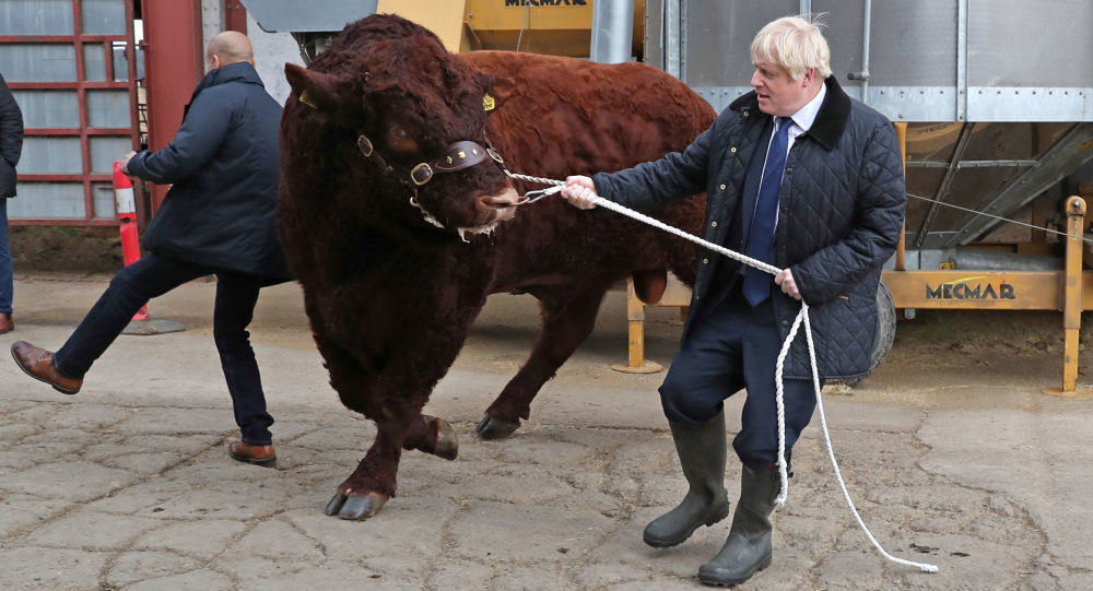 boris