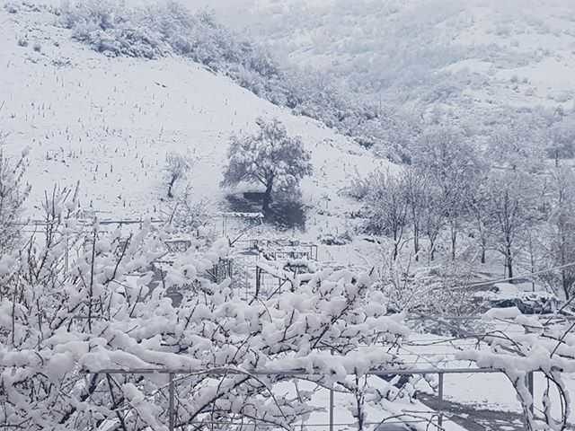 snijeg bugarska