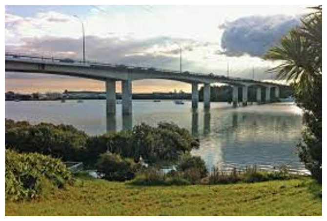 most novi zeland