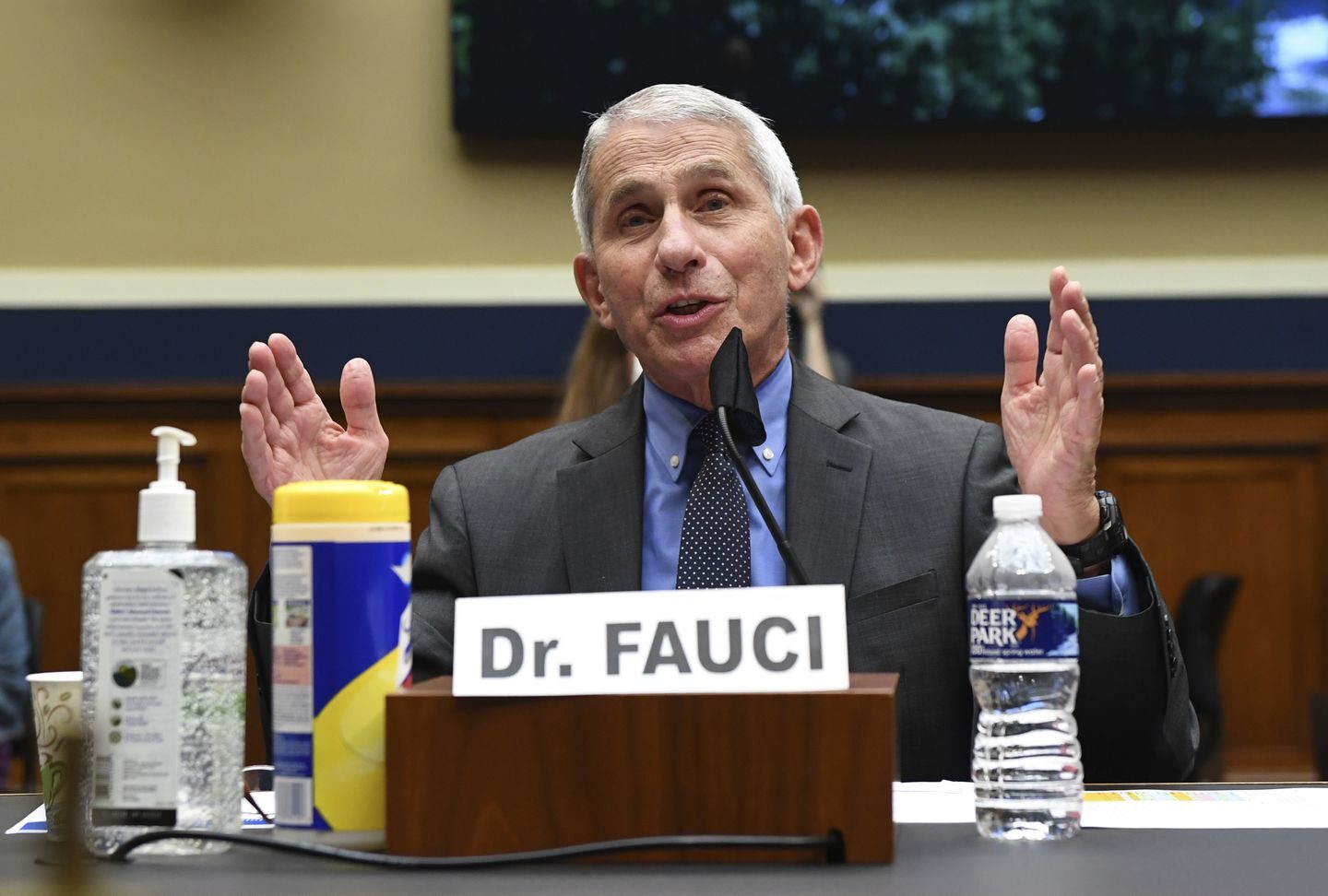 dr fauci