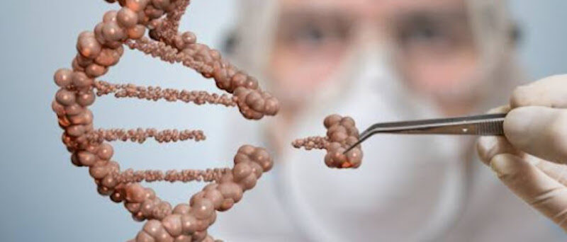altering DNA