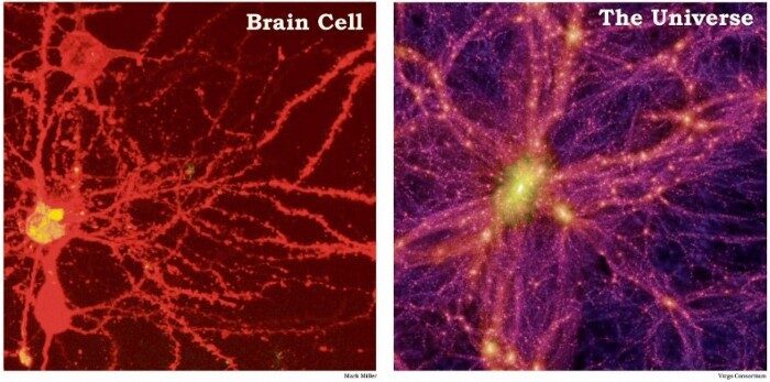 mozak svemir