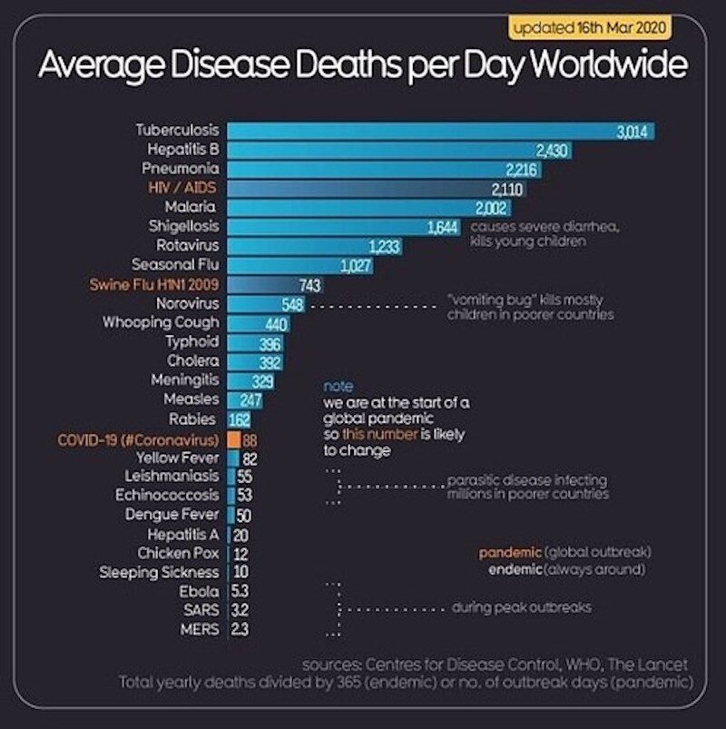 deaths per day chart