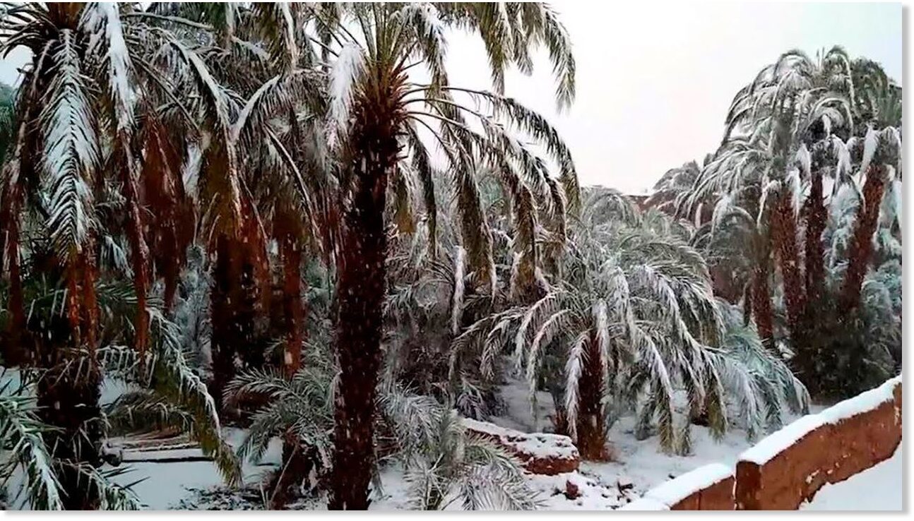 snijeg maroko