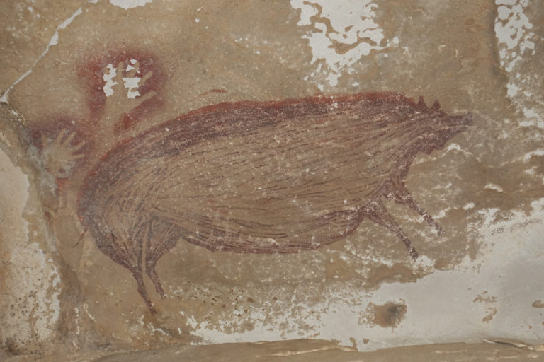 cave painting pig