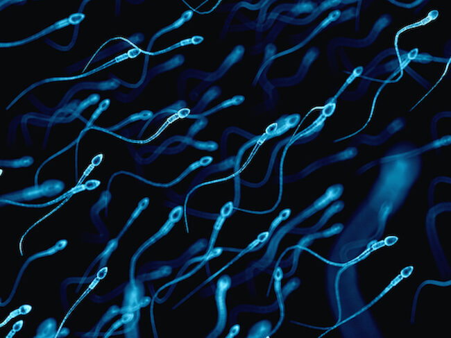 Sperm Remember