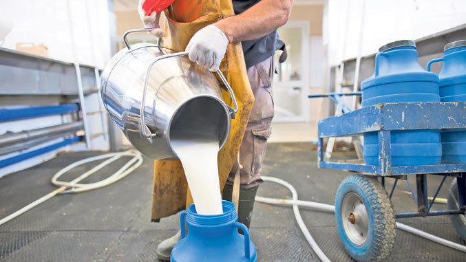dairy