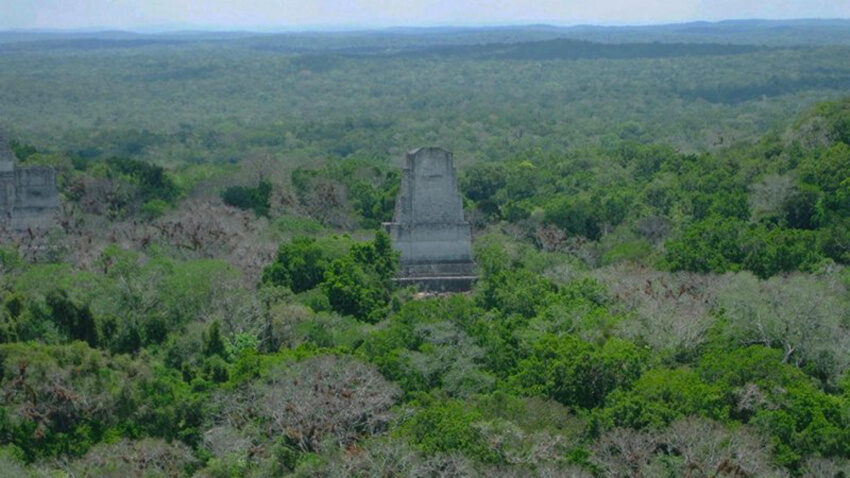 tikal
