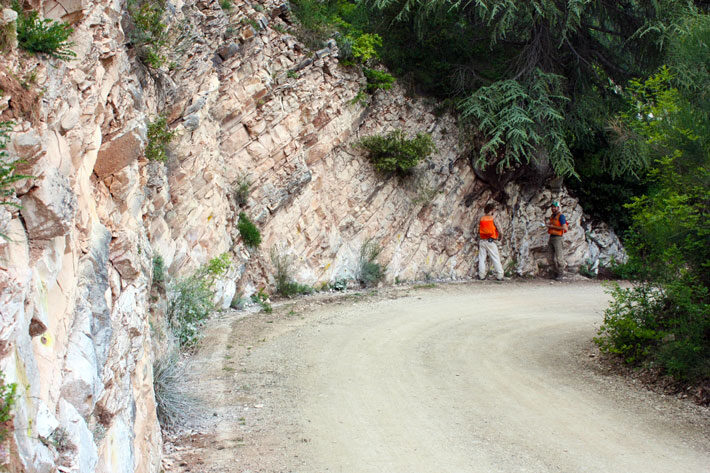 Klikni za povećanje Limestone exposed near Furlo, Italy
