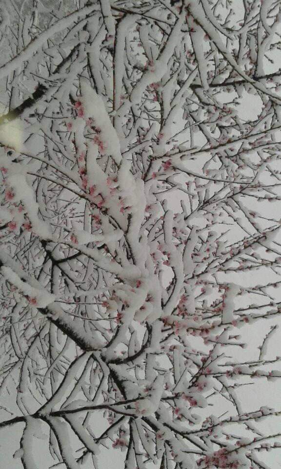 snow