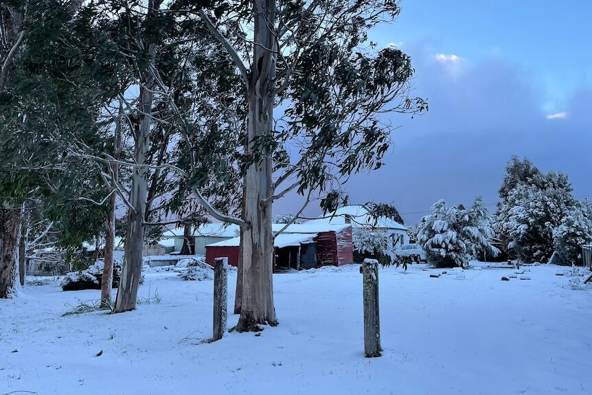 Waratah was one of the areas of Tasmania to receive a late spring snowfall.