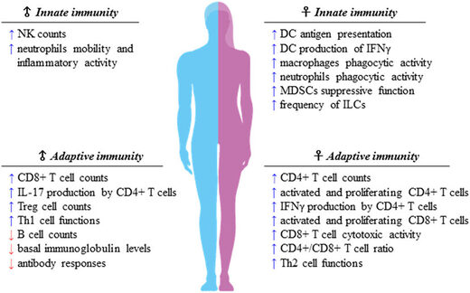 Klikni za povećanje Sex difference in immune function
