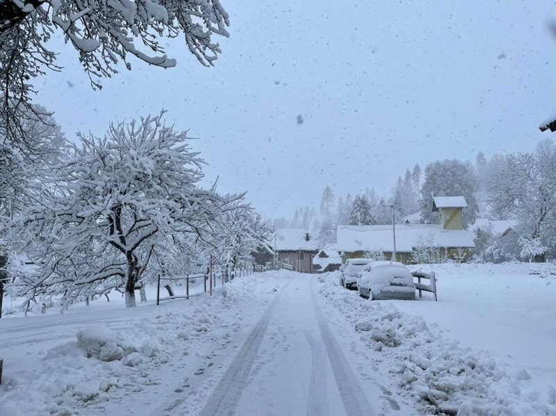 Kranjska Gora