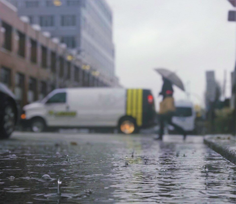 Rain drenched Vancouver this fall, smashing records in city and across the province