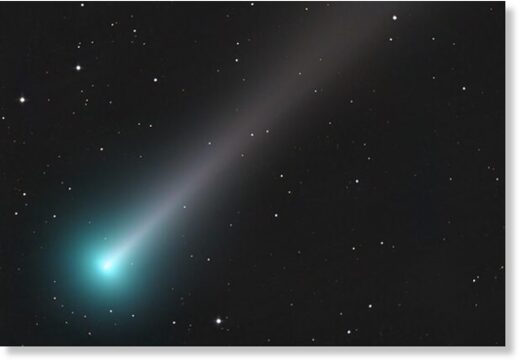 comet leonard