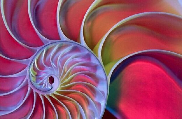 Zlatne spirale