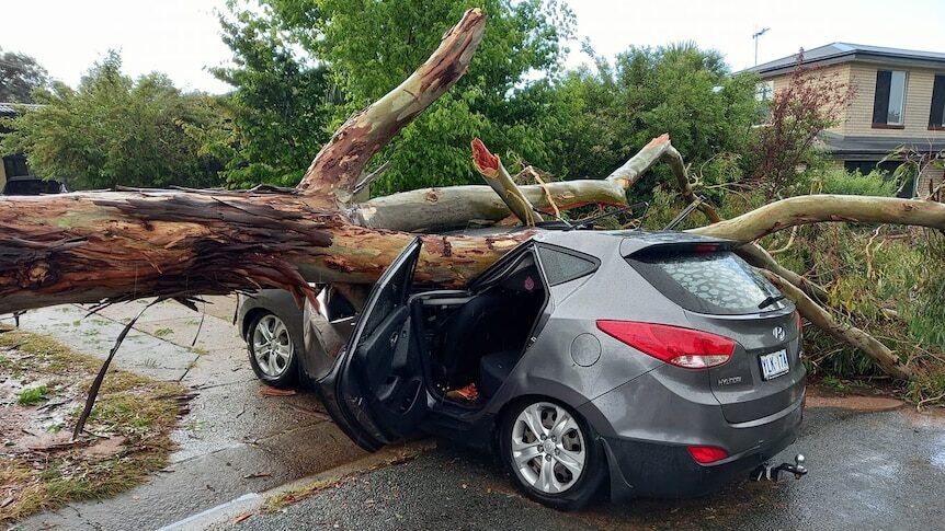 A tree crushed this car in northern Canberra as a storm struck the city about 5:00pm on Monday.