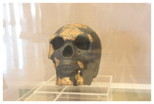 Omo-Kibish skull