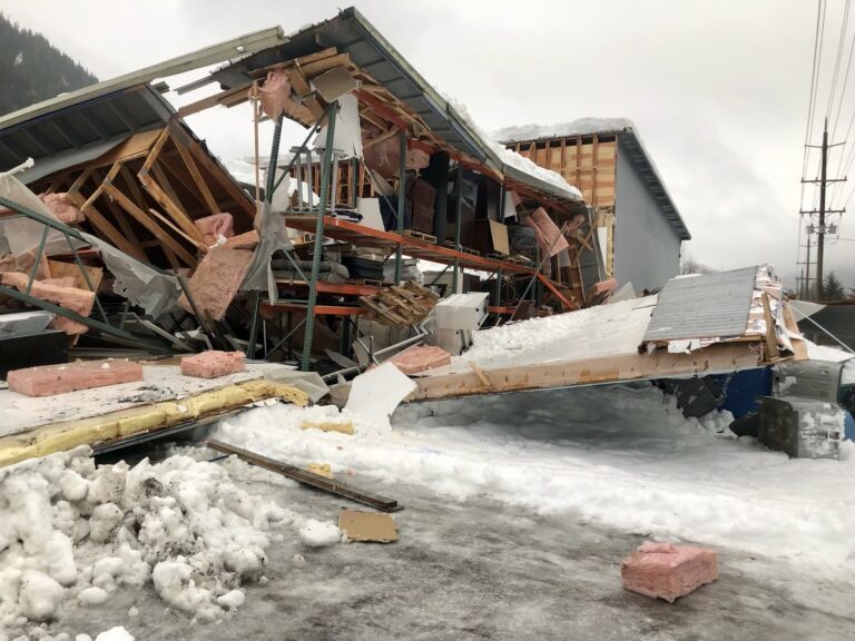 The roof at a commercial building in Lemon Creek collapsed Tuesday. No one was injured, officials said.