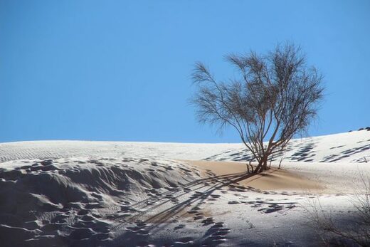 Pustinju Saharu zabijelio snijeg nakon što su temperature pale na -2C (četvrti put u posljednjih 7 godina)