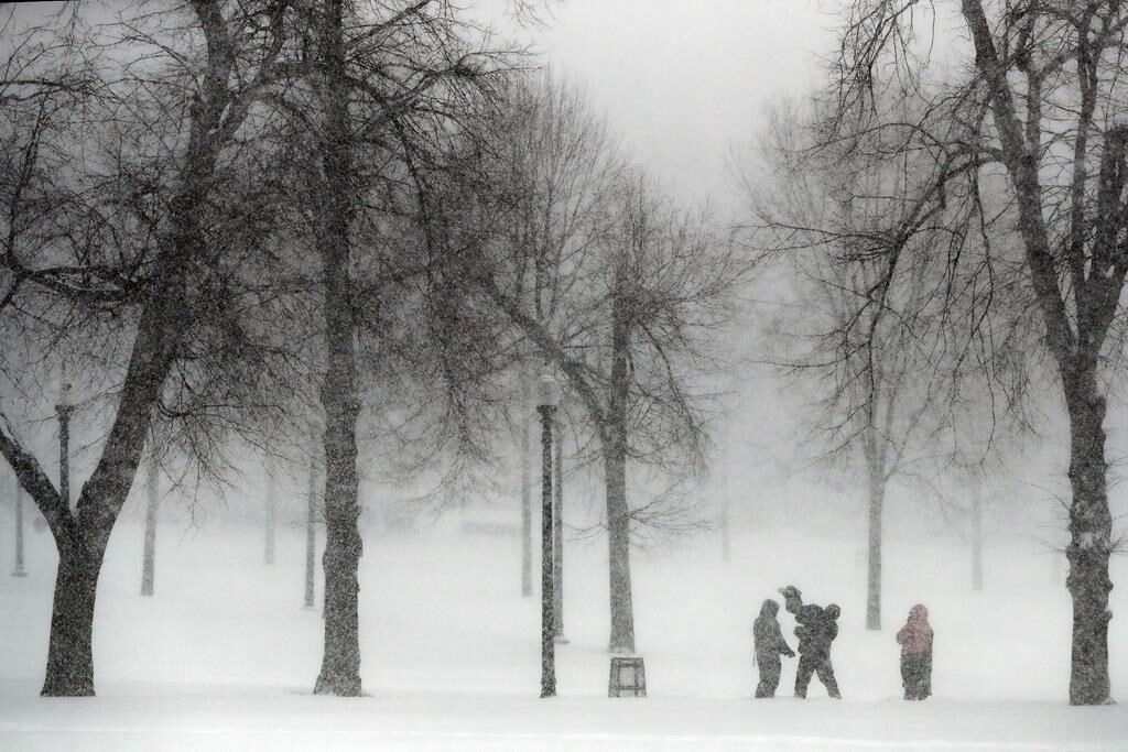 Snow falls on Boston Common, Saturday, Jan. 29, 2022, in Boston